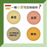 小便顏色可反映啲咩?